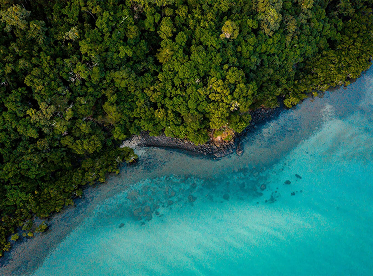 Aerial of rainforest meeting turquoise water in Tropical North Queensland