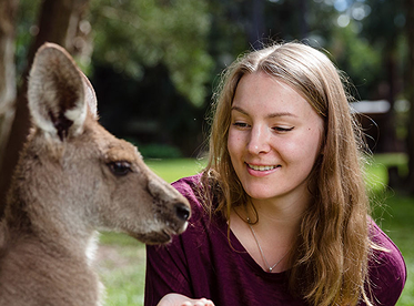 Visitor meeting a kangaroo at Australia Zoo